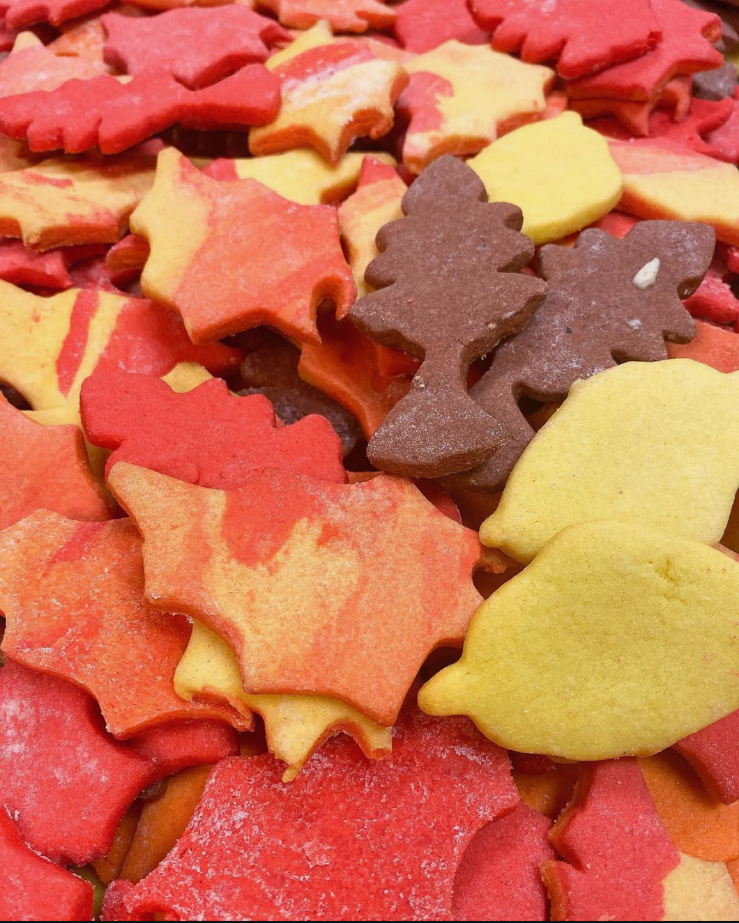 Fall Cookies - Bovella's Cafe