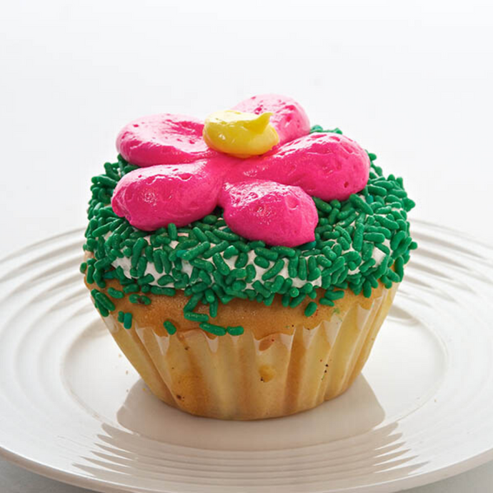 Daisy Cupcake - Bovella's Cafe